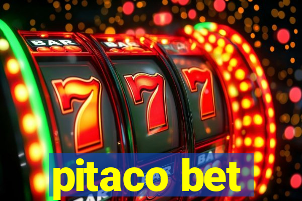 pitaco bet